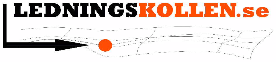 Ledningskollen kostnad